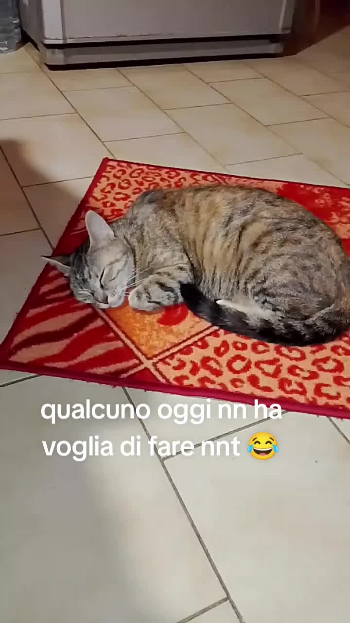 @francy