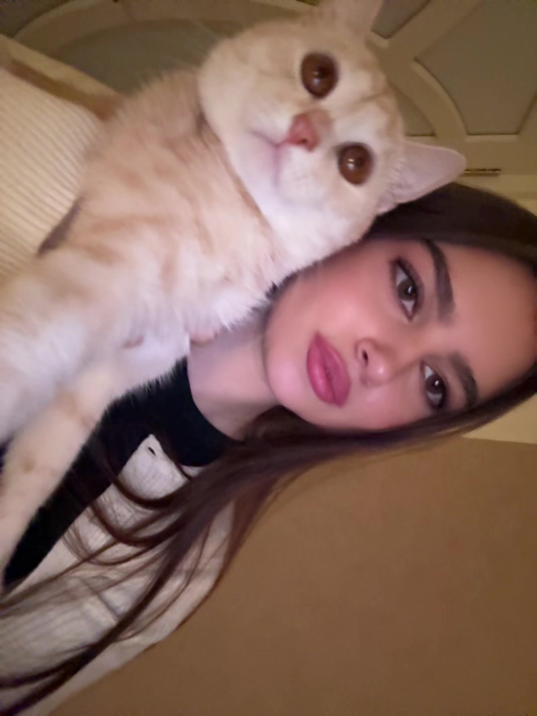 @ariano44ka