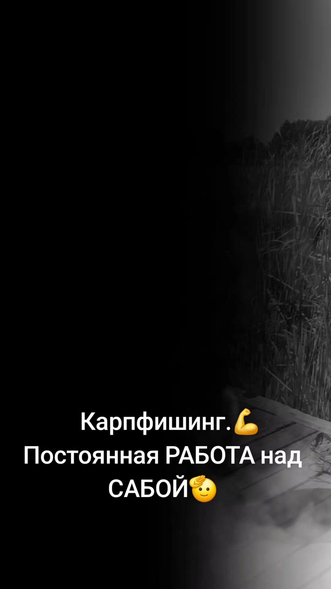 @Дикий карп рулит💪😎💪