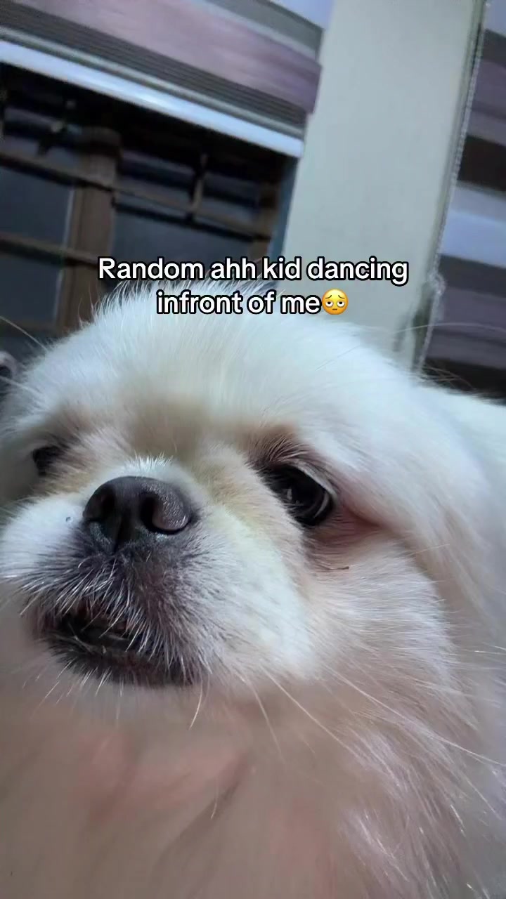 @Denden