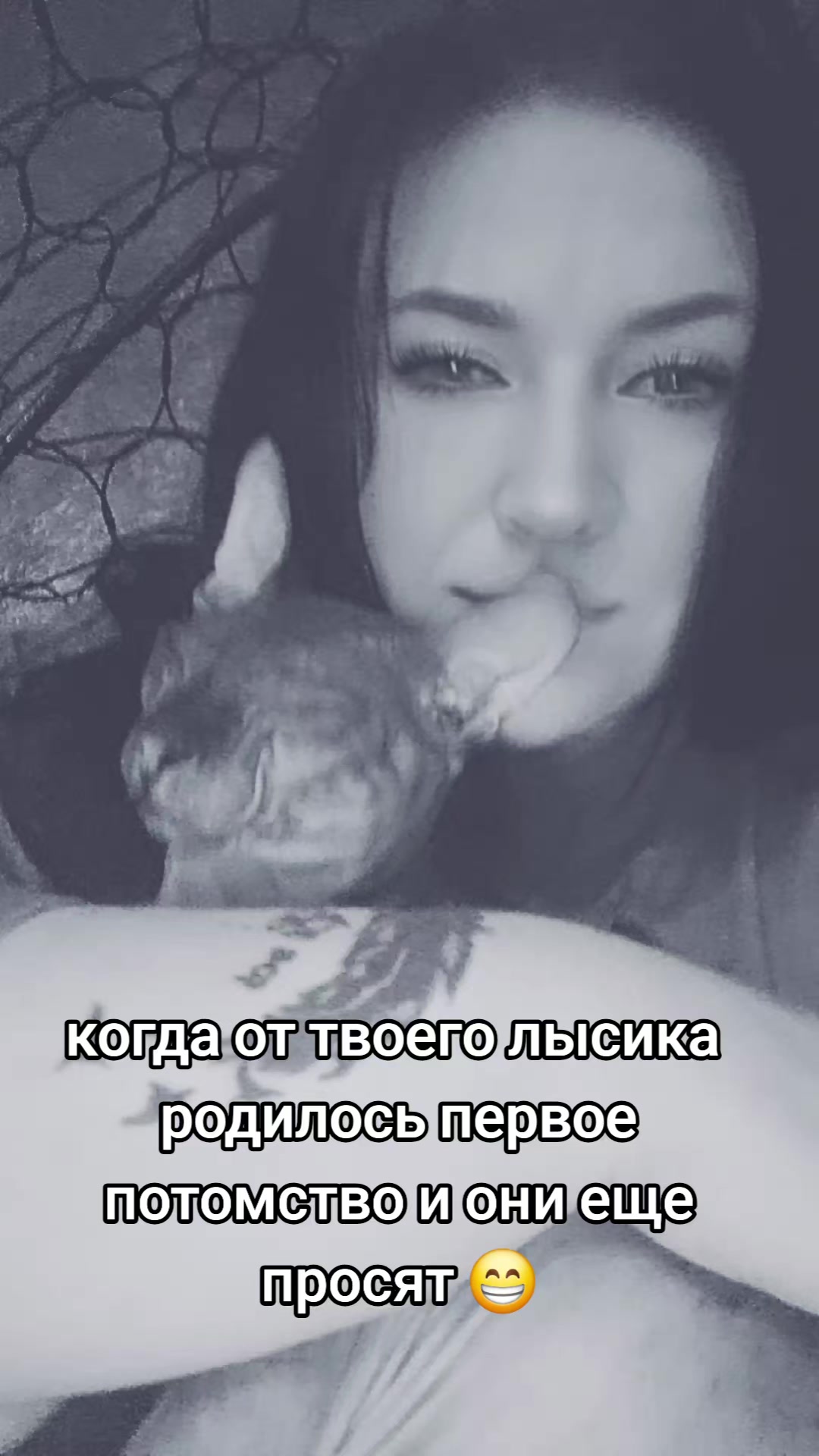 @𝖄𝖚𝖑𝖎𝖆🐜