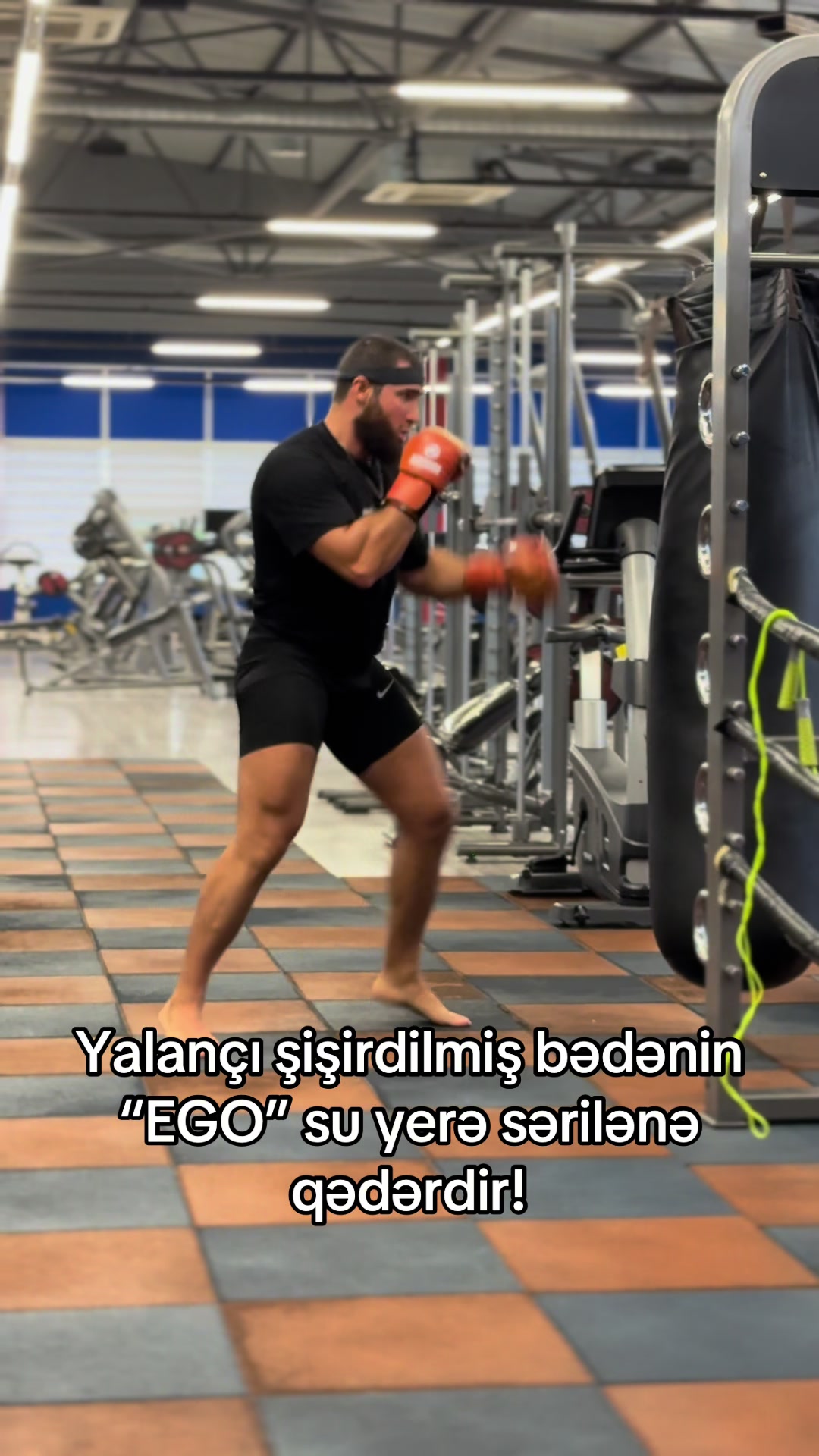 @Qalib999