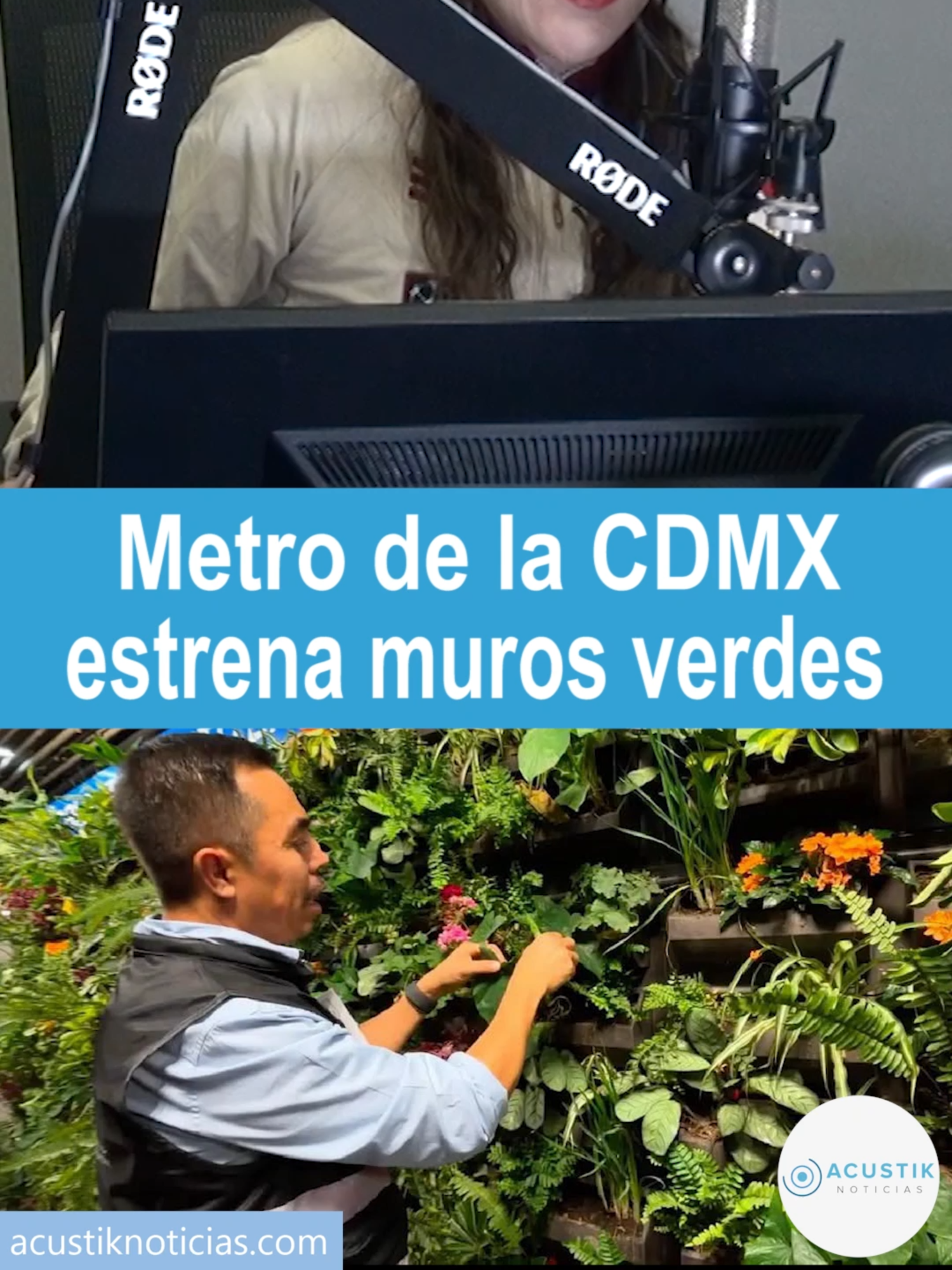 @Acustik Noticias