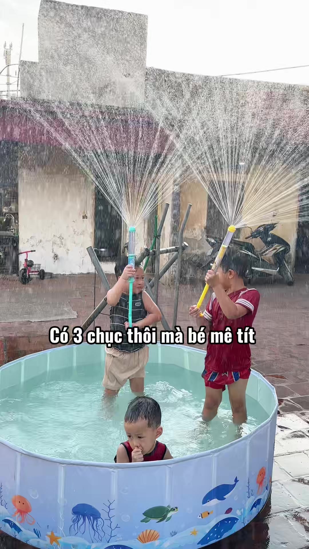 @Ngô Tâm-Mẹ Happy