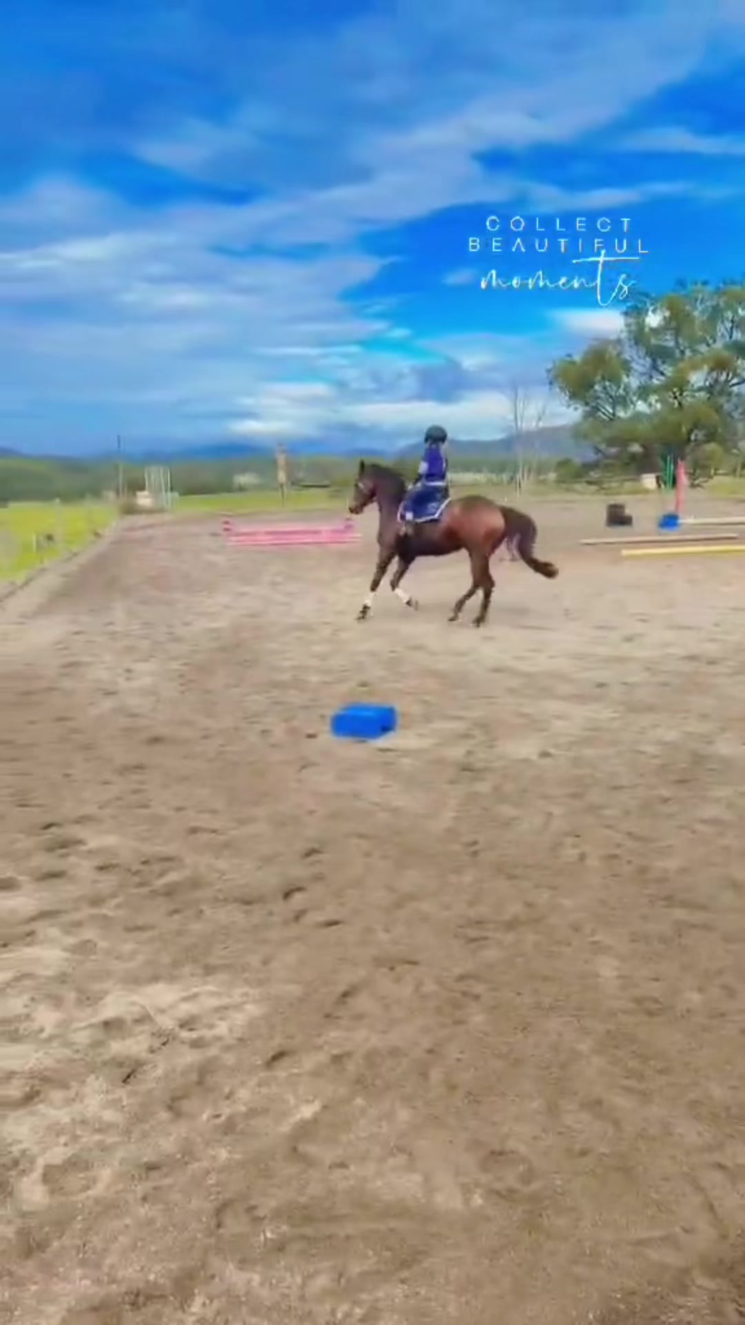 @RV Park Show Ponies