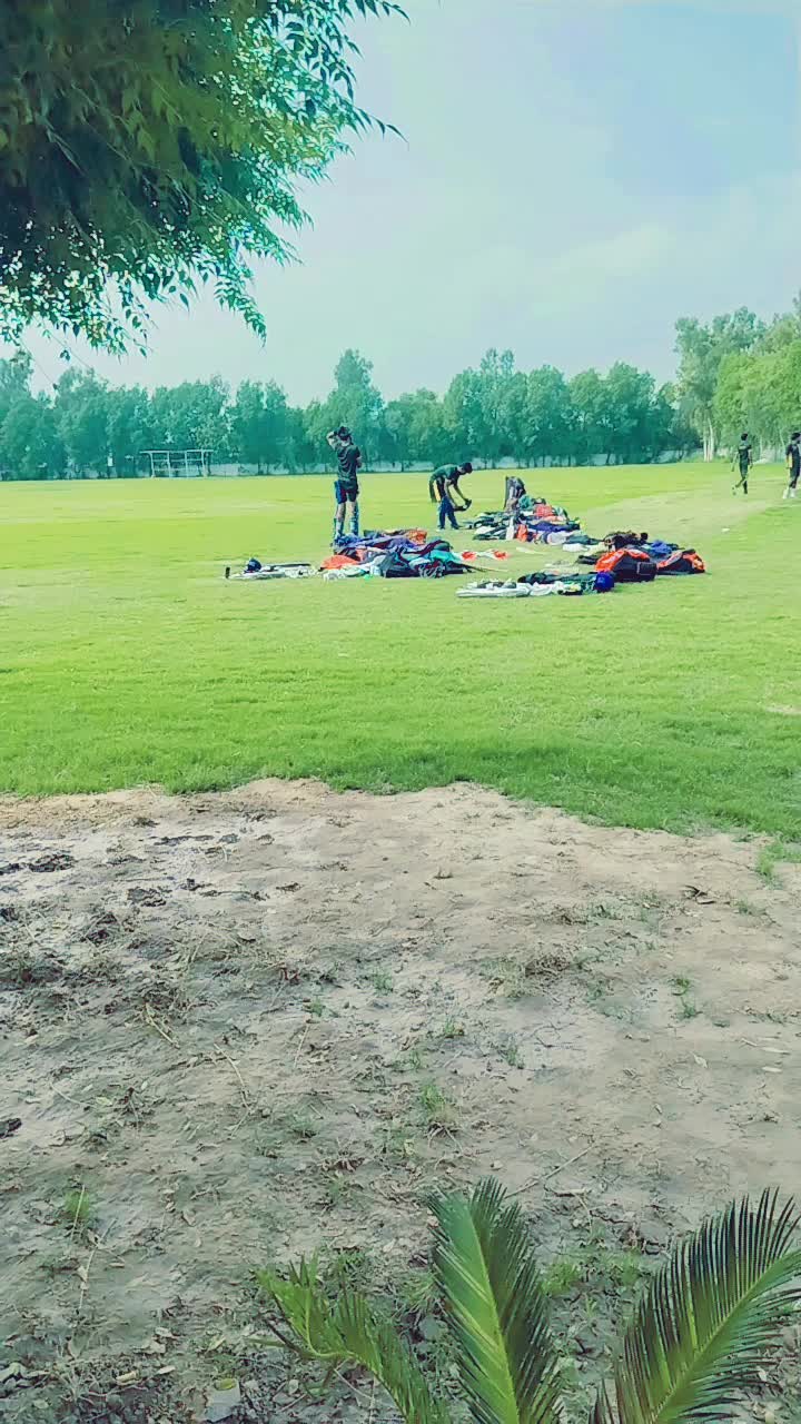@03130519250