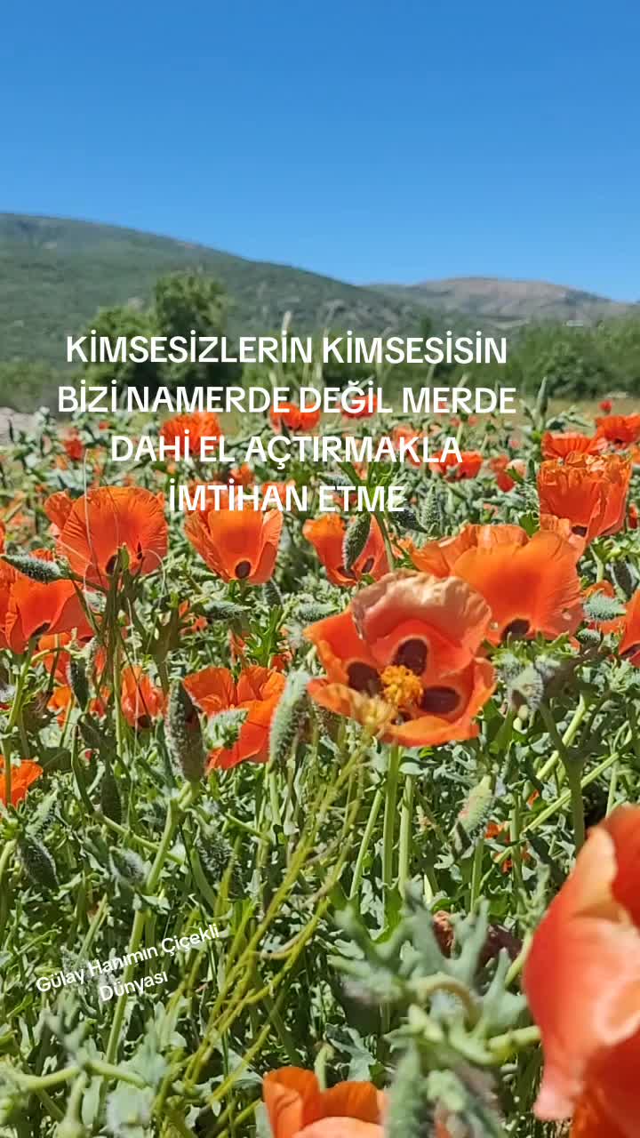 @Gülay Hanımın Çiçekli Dünyası