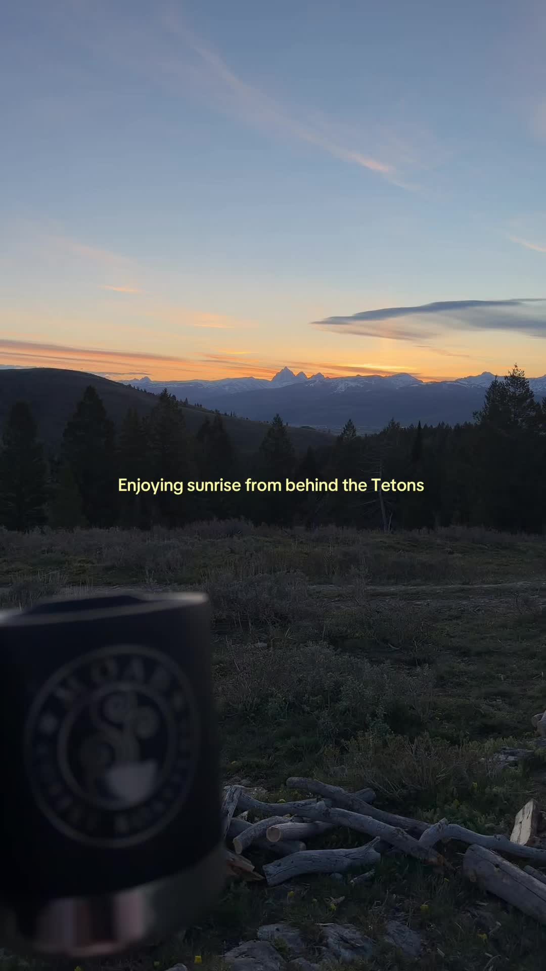 @Bee Bing | Artist | VanLife