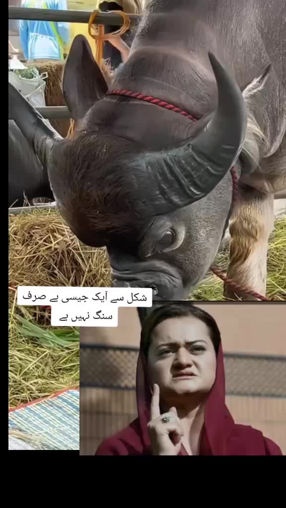 @Naveed nk
