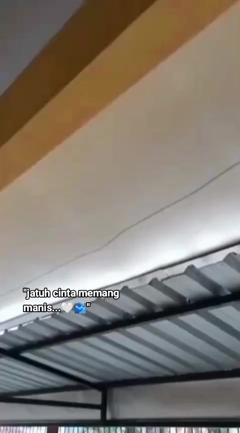 @pituubee
