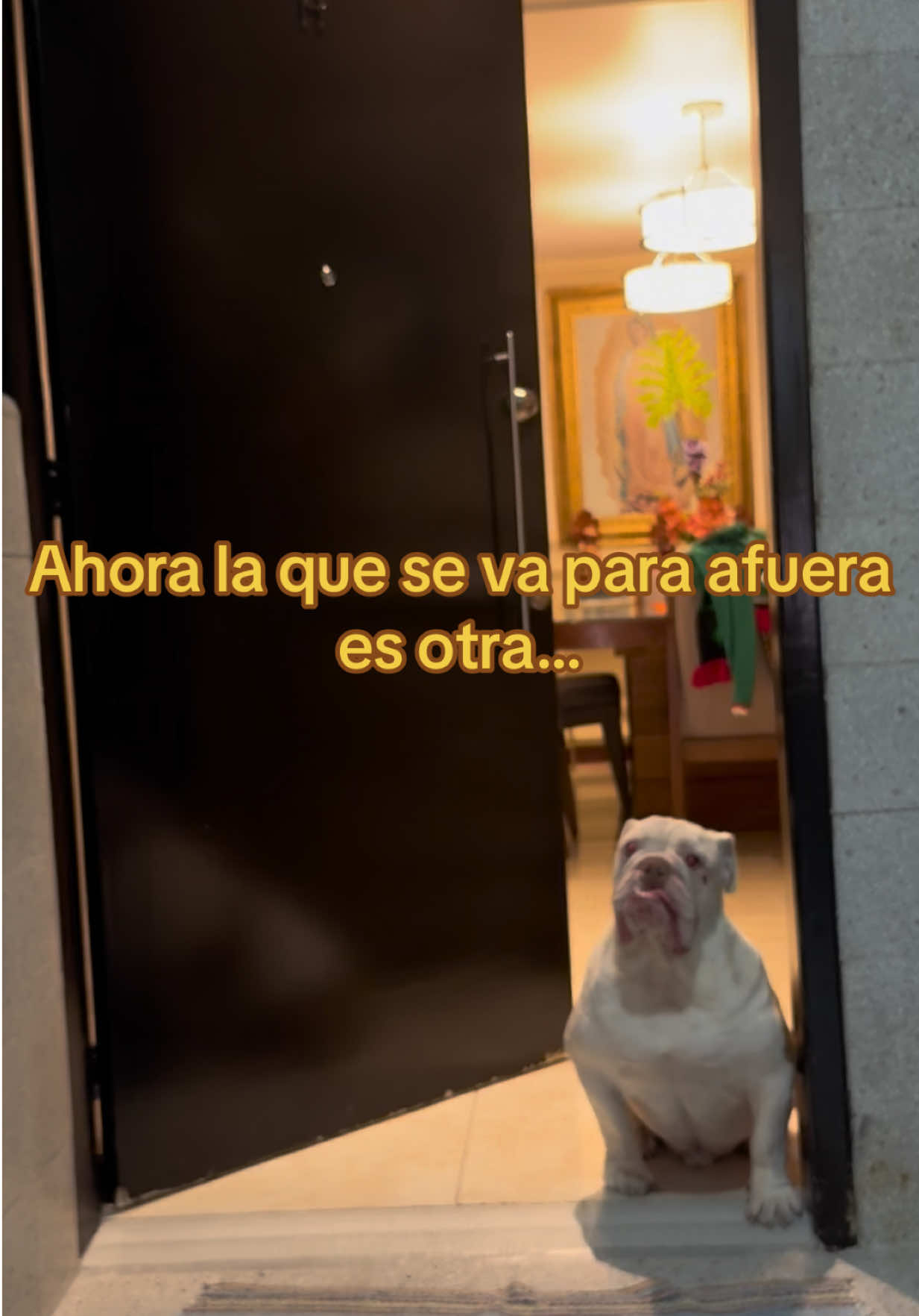 @valeria.cupich
