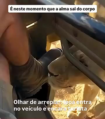 @Nerak Seraos