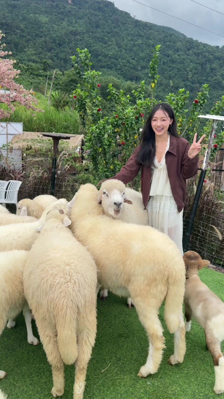 @Nong Jee🐣🦋