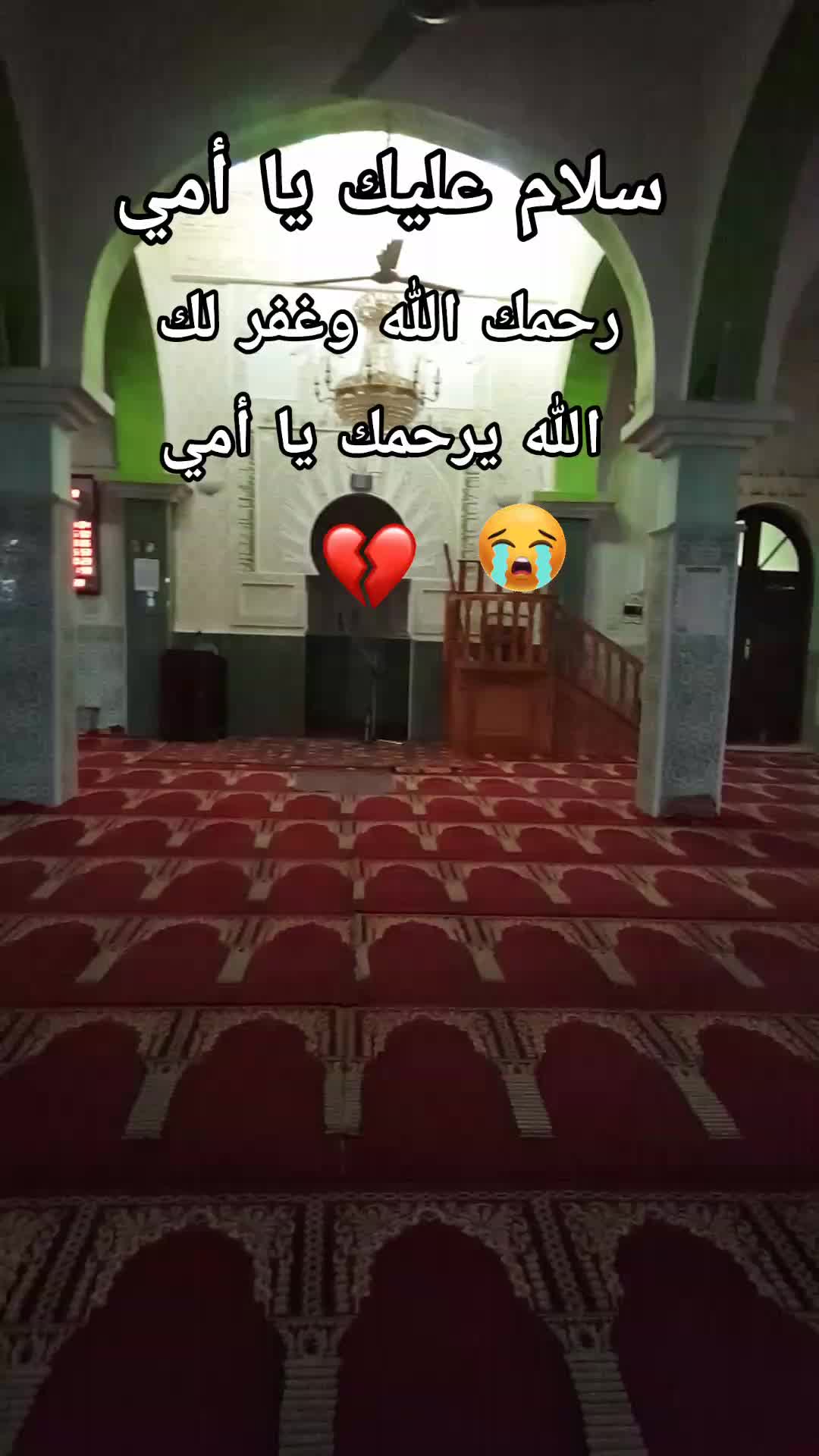 @Ahmed 007 🇩🇿🇩🇿
