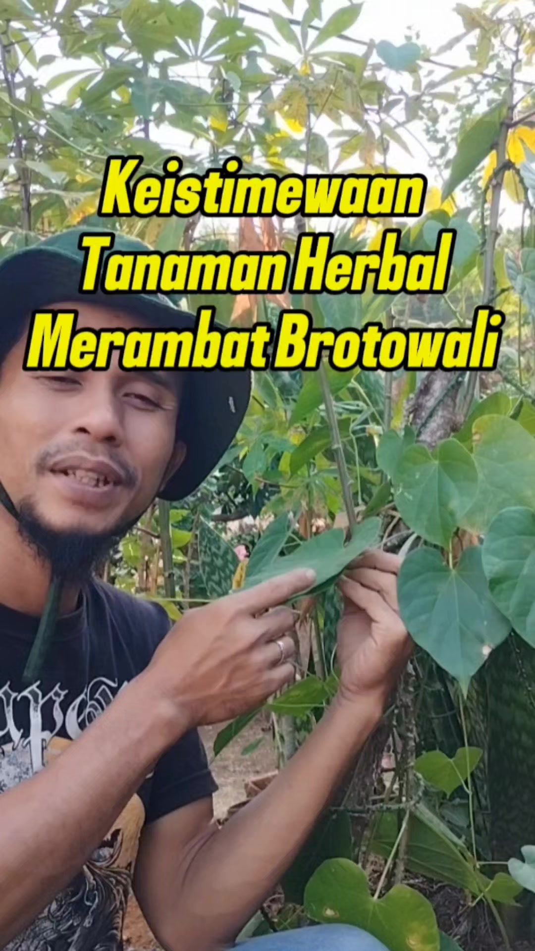 @Bukit Farming