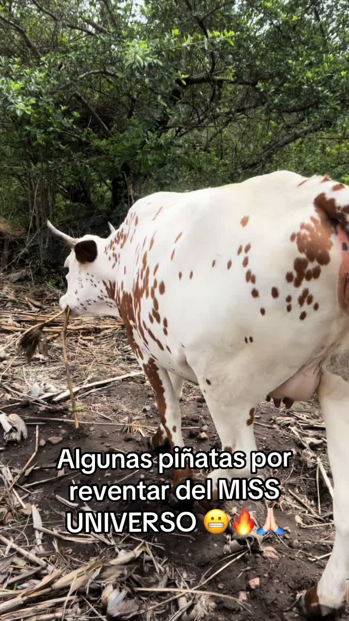 @GENÉTICA_PY