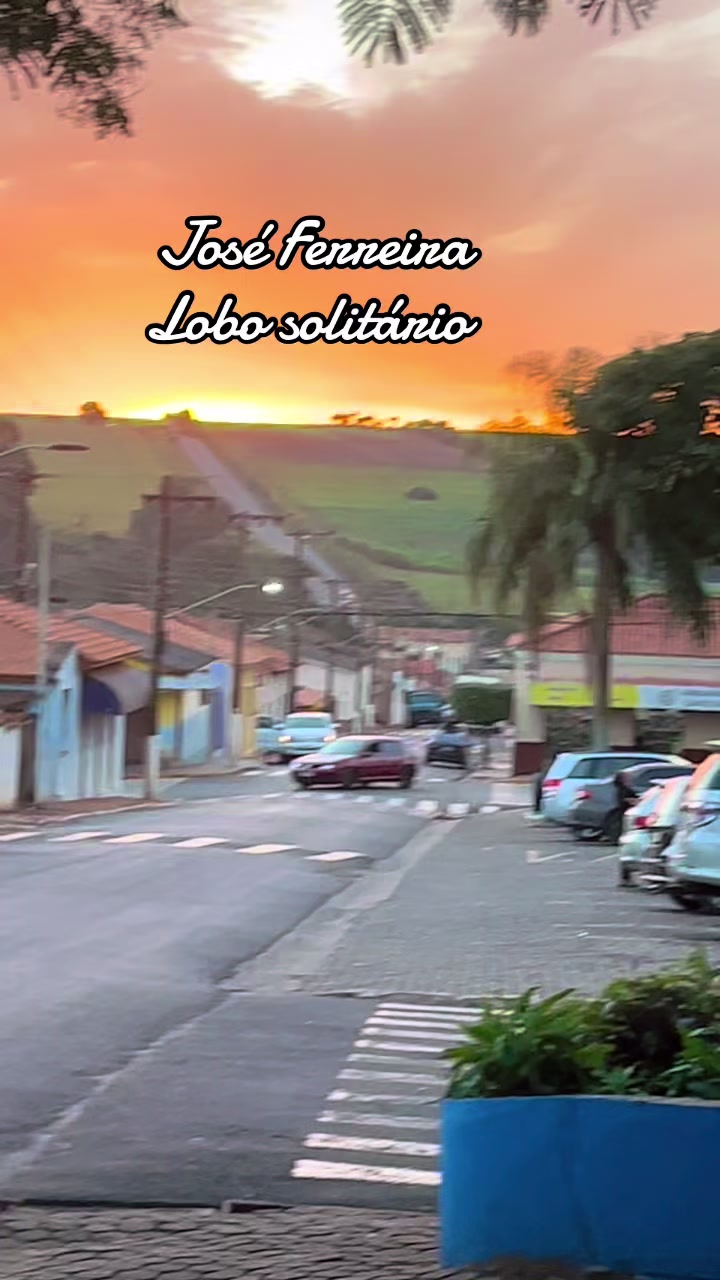 @joseferreiraferreira8