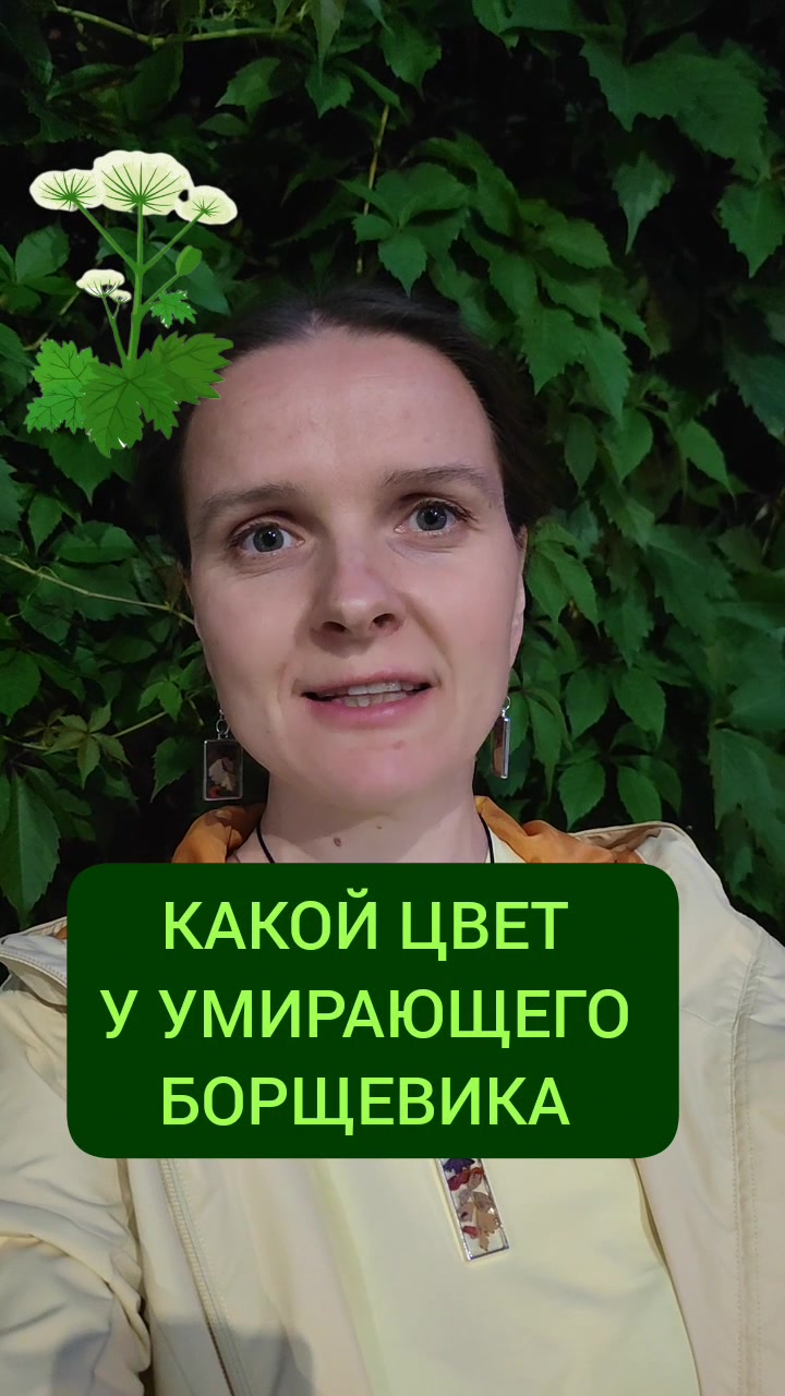 @Мария Попова