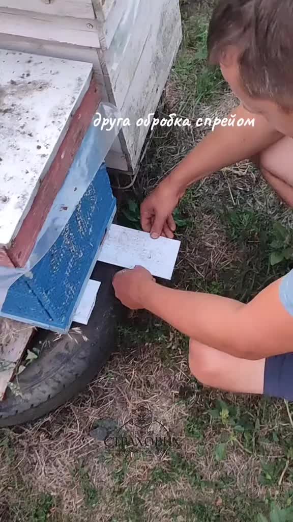 @Берецький мед