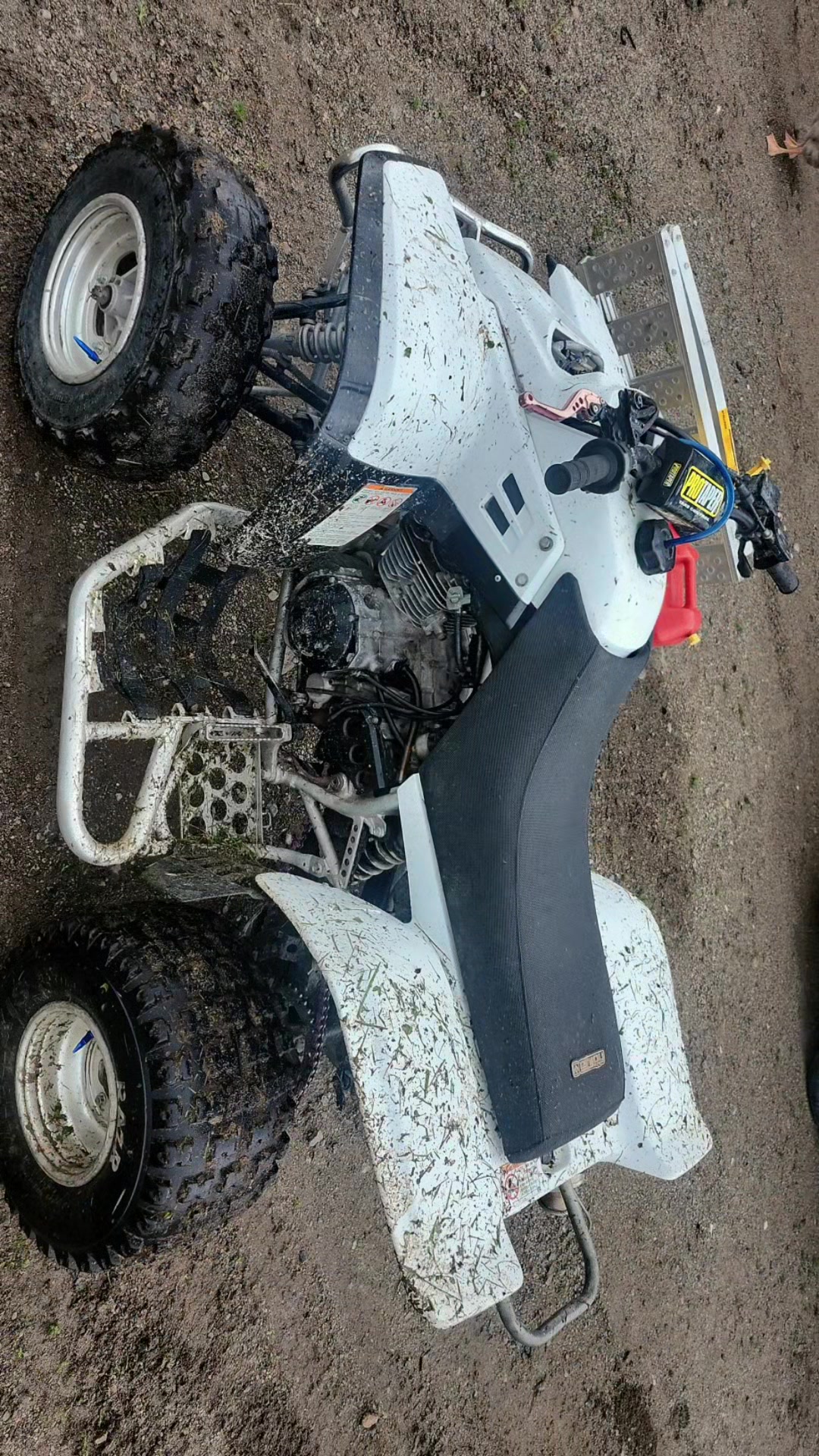 @🤟🏾😈WARRIOR 350😈🤟🏾