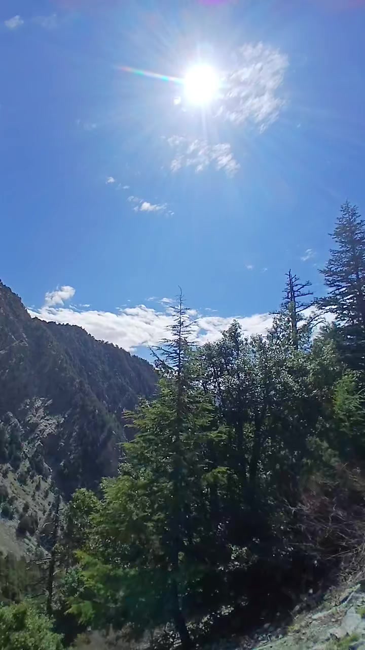 @Amir Sohail Tajik 🇵🇰