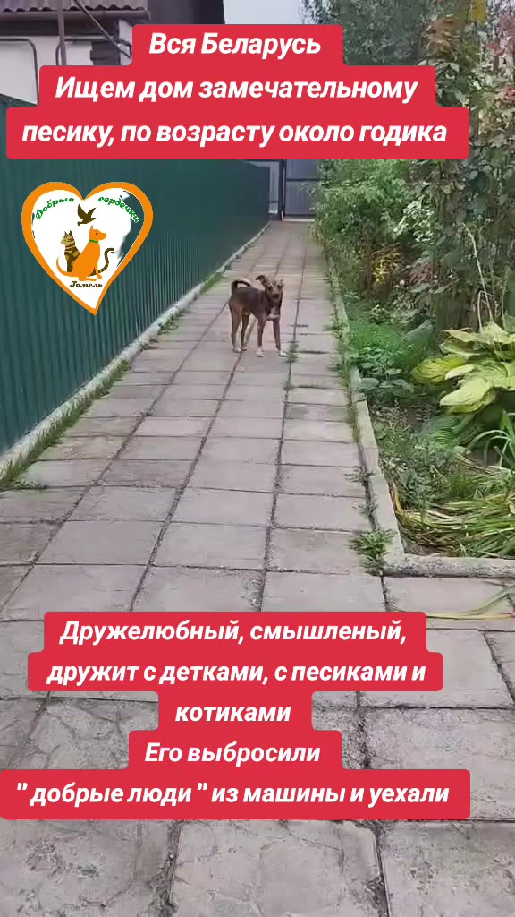 @Марина