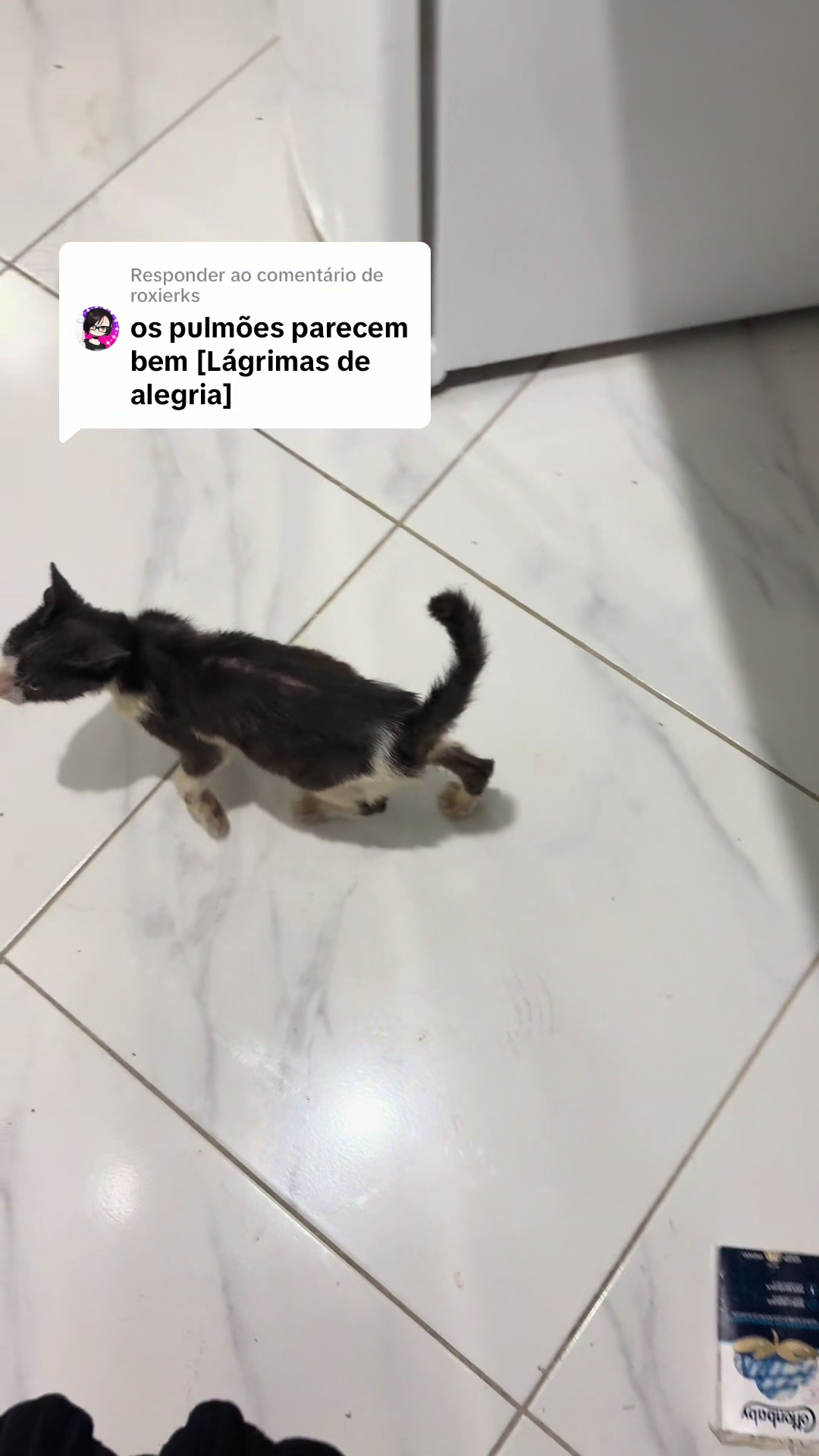 @ogatorenatinho