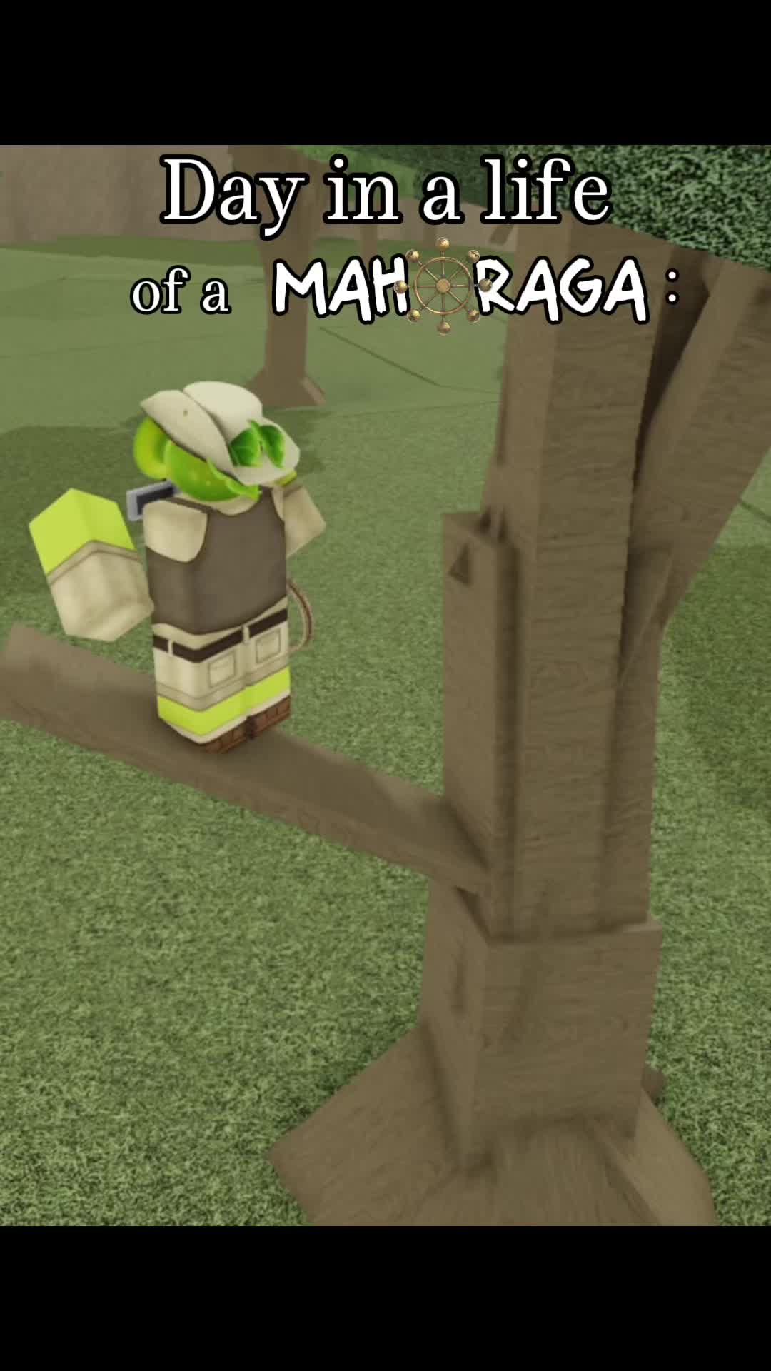 @ZenPea