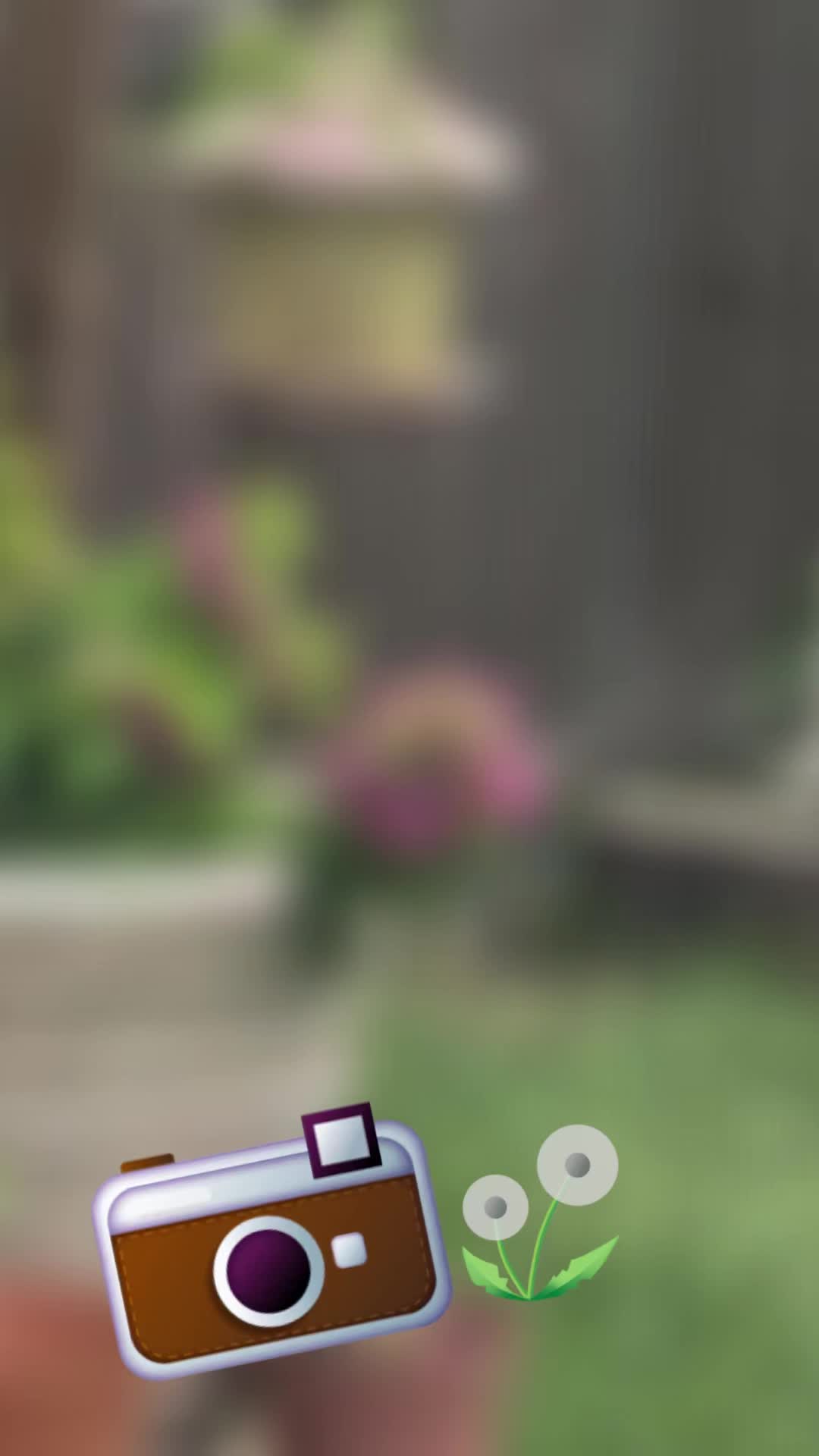 @Jplay