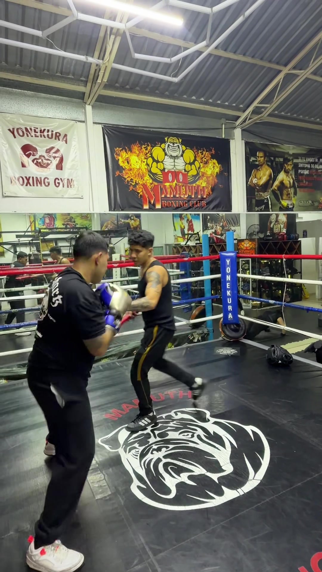 @Yonekura Boxing Club