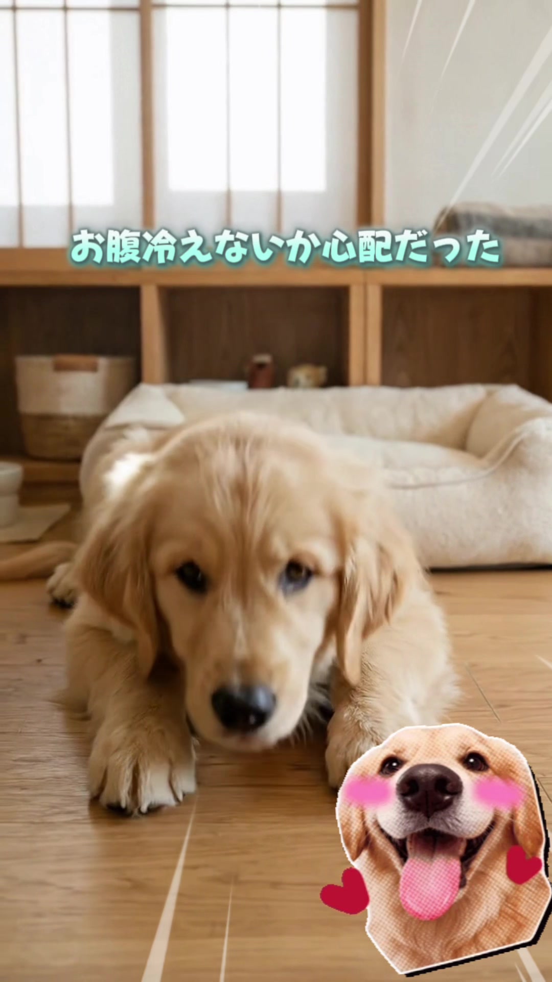 @ゆりのくらしノート