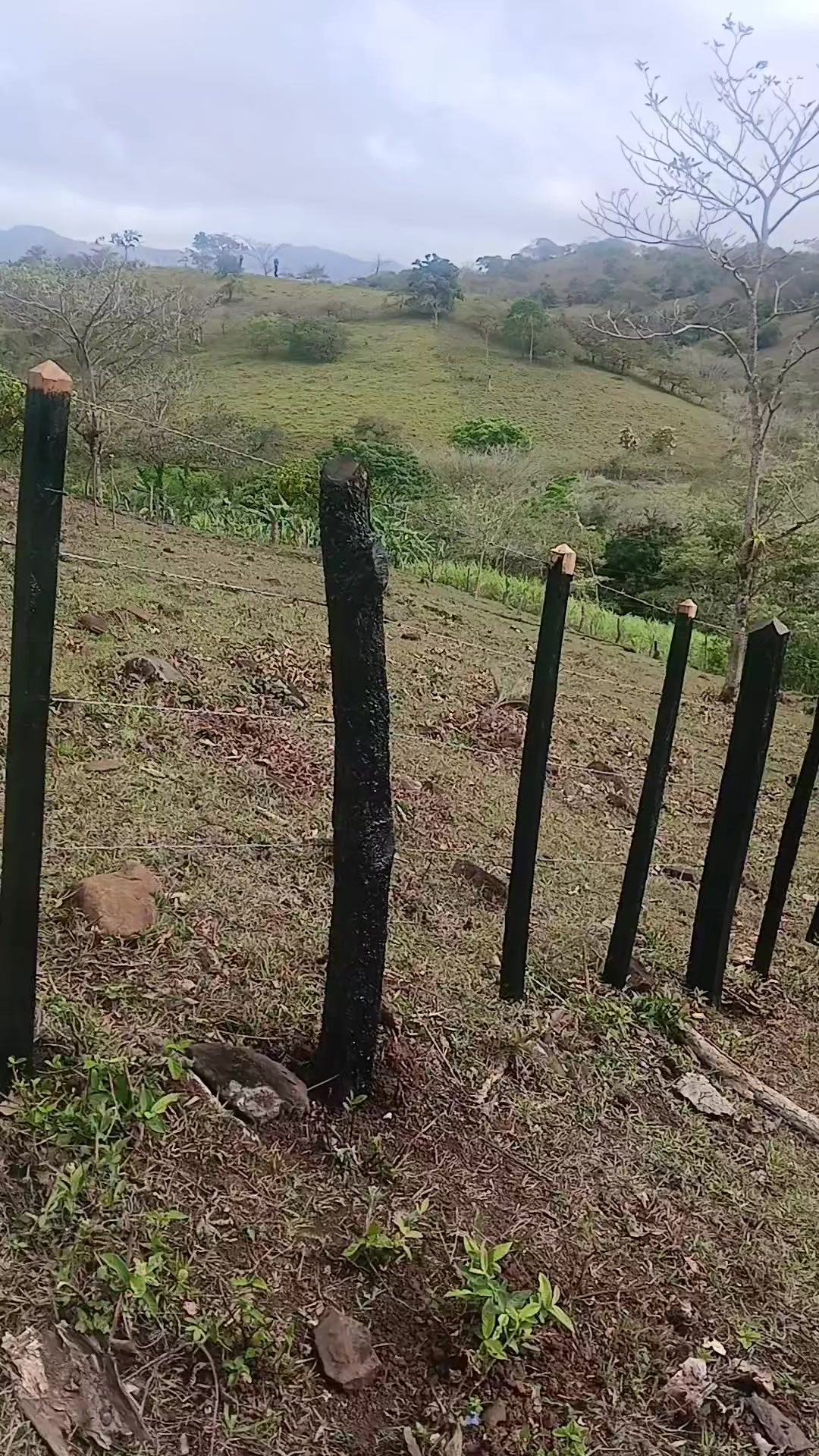 @Nicaragua