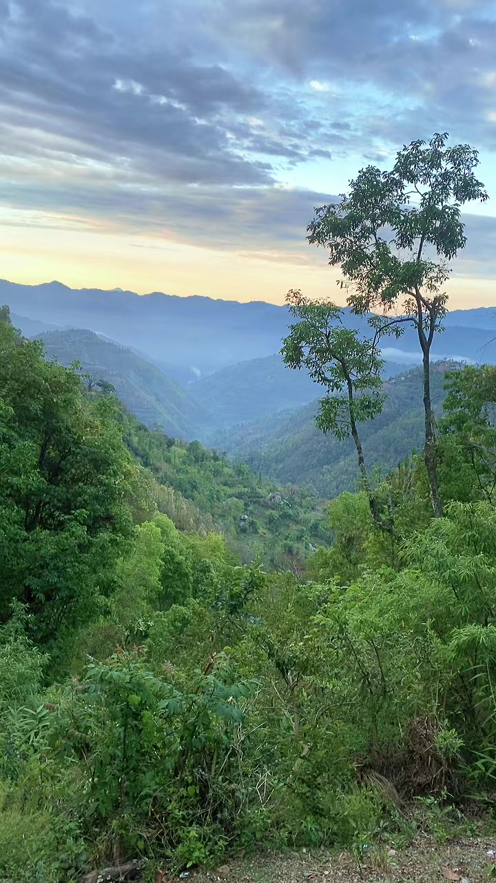 @थानेश्वर ज्ञवाली