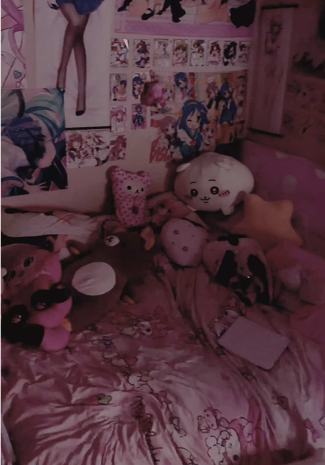 @/ᐠ ˵> ⩊ <˵マ