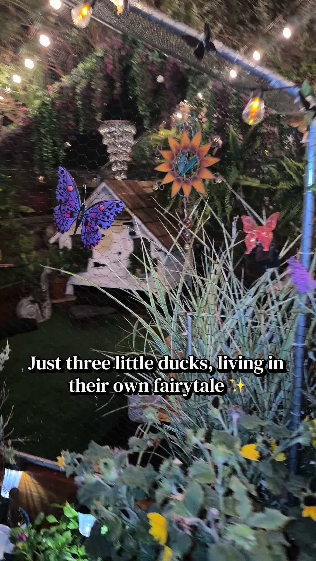 @Sherry&rsquo;s Backyard Sanctuary