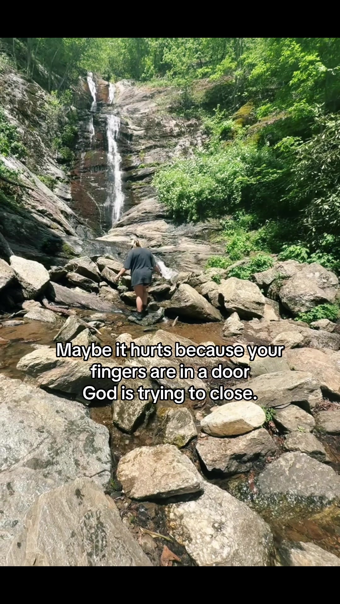 @sal 🌻
