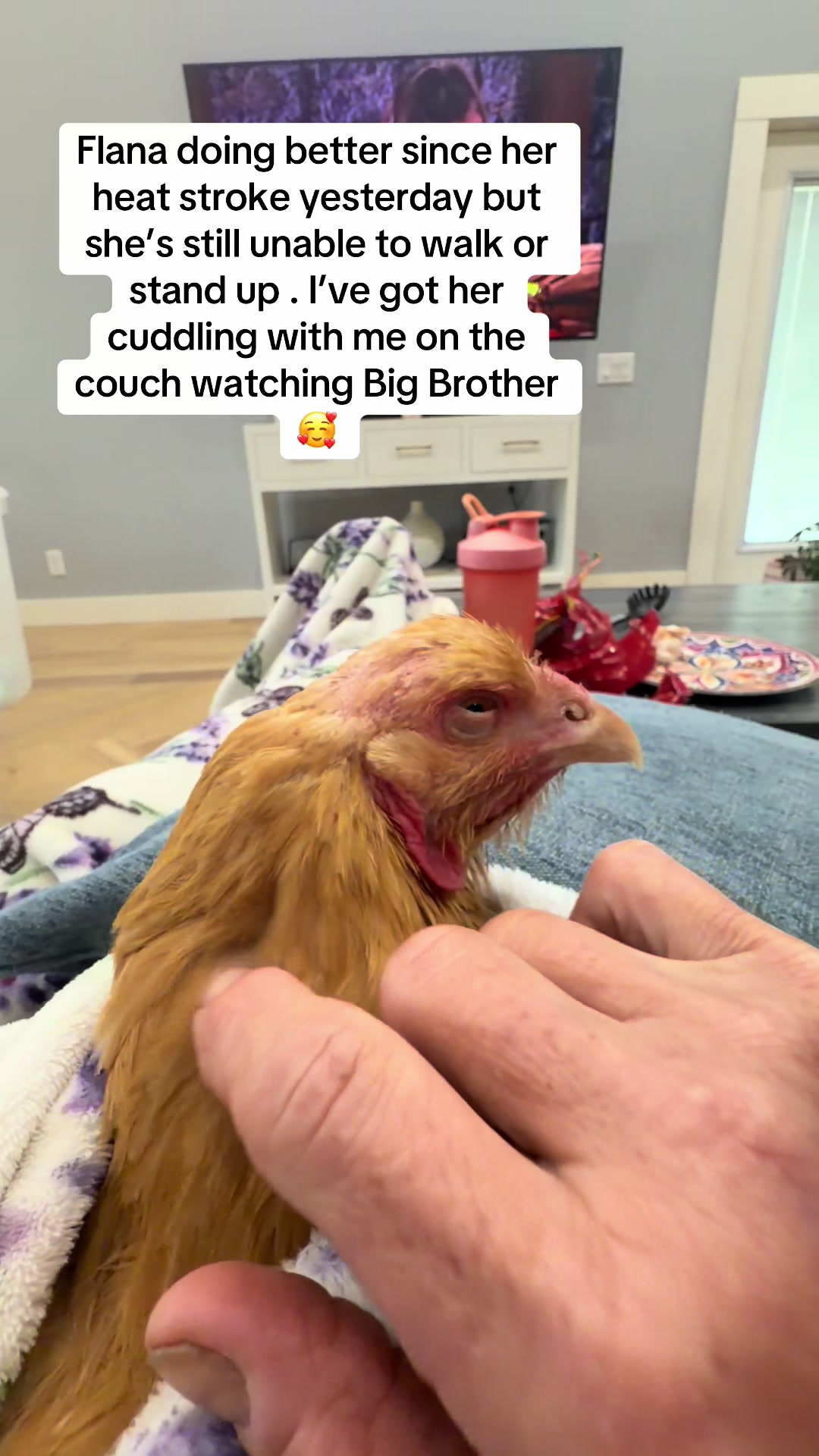 @NonniesFunnyFarm