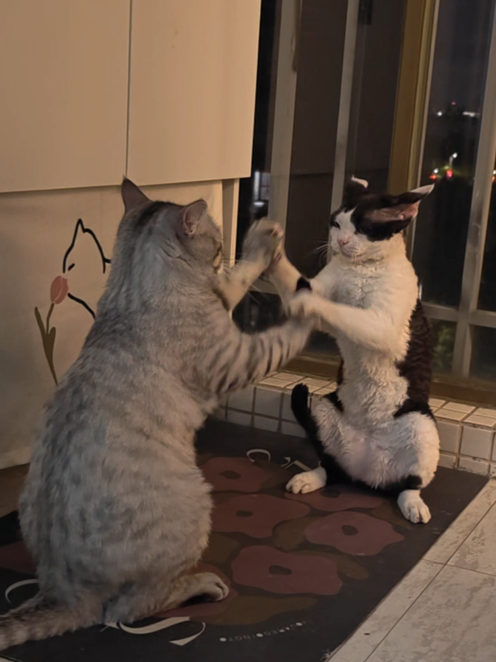 @Pets.VN