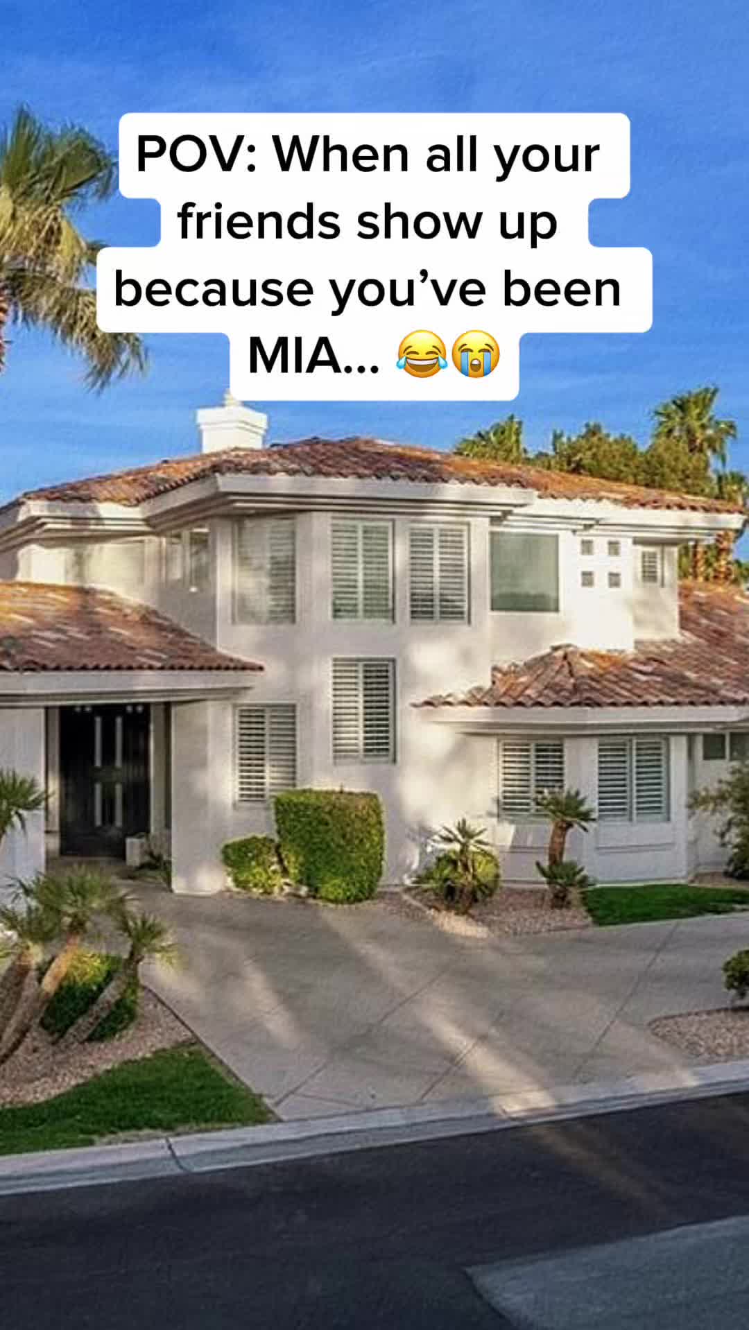 @✨ TJ