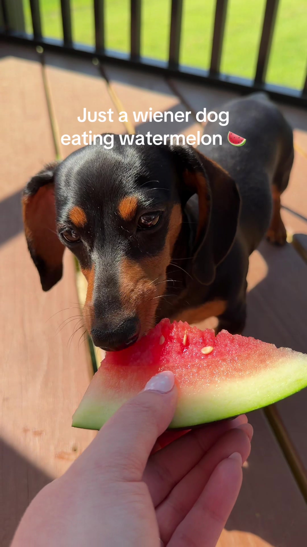 @𝒉𝒆𝒂𝒕𝒉𝒆𝒓 🎀