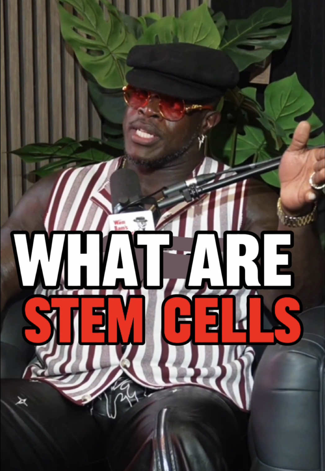 @Wam Bam’s podcast