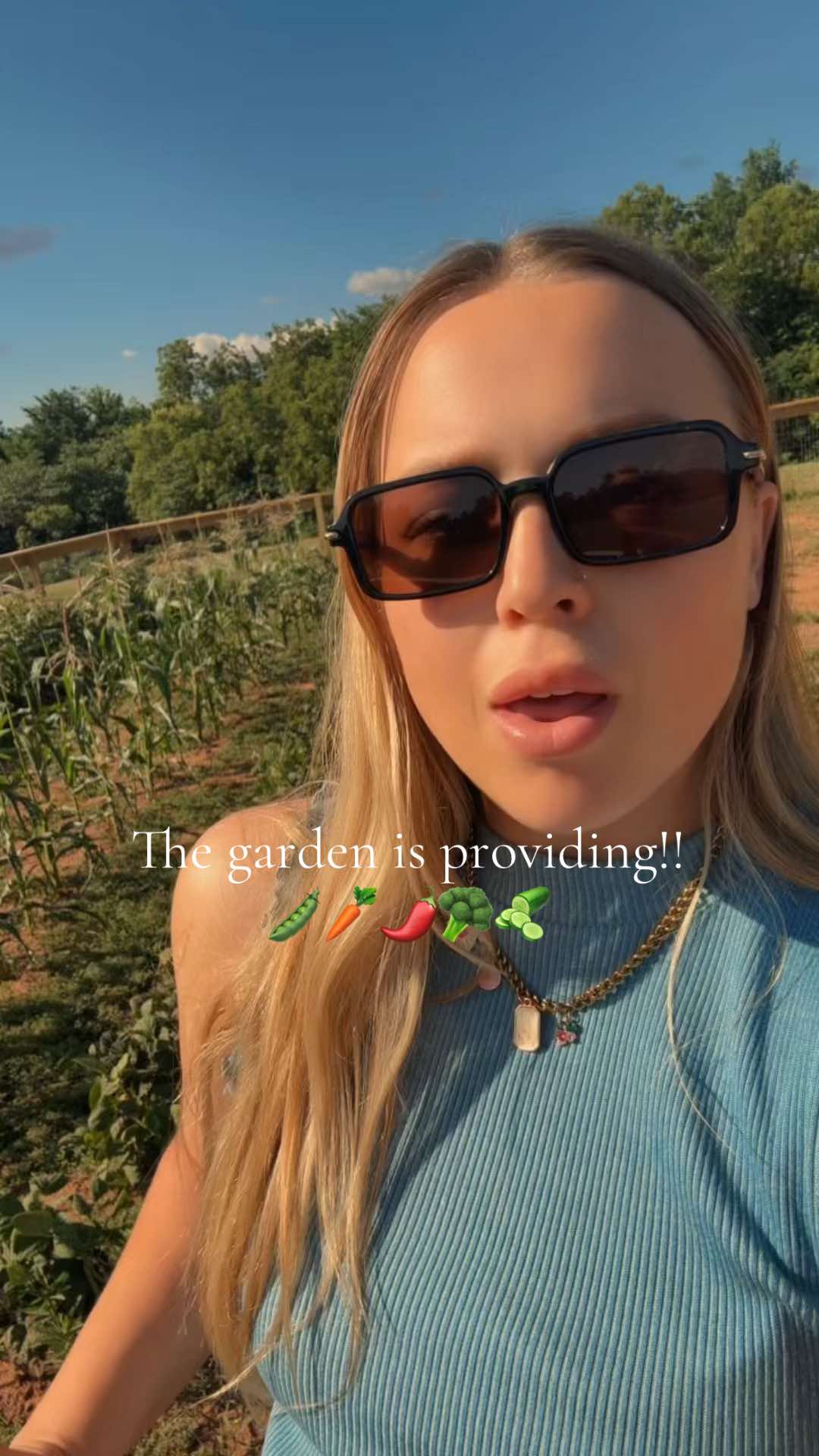 @livinwiththelances