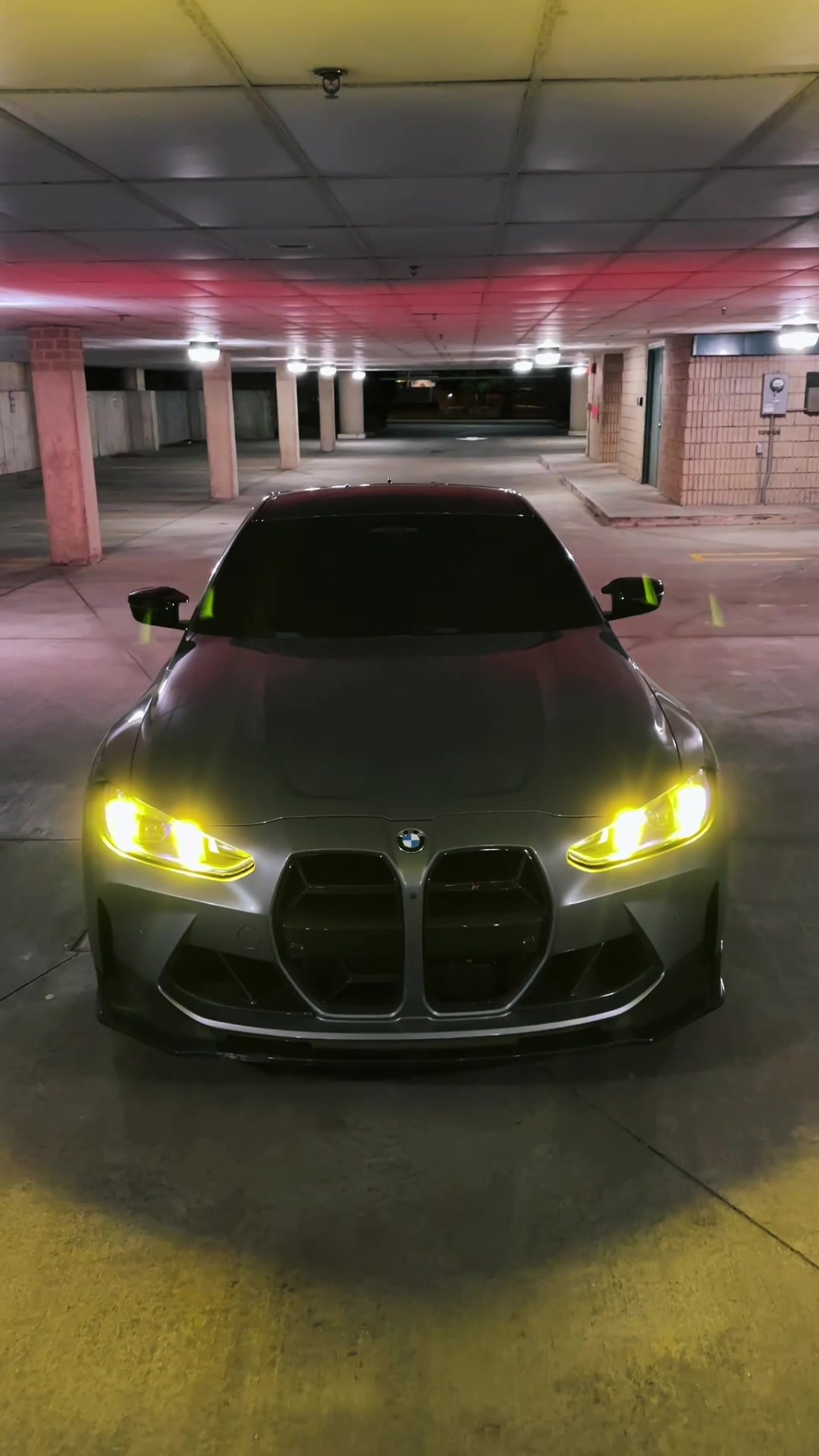 @Tony T. 🦇