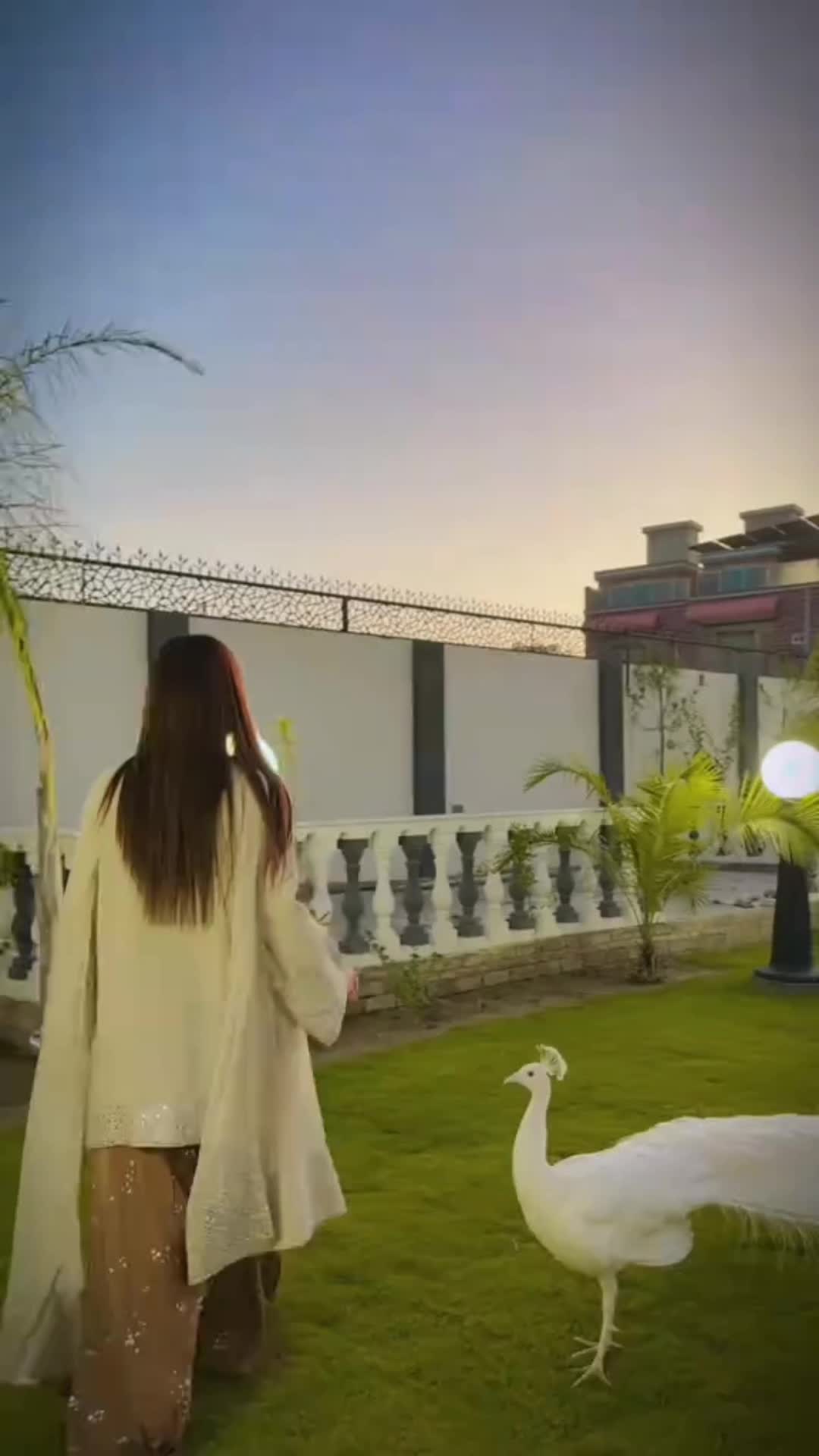 @👑_Queen_👑