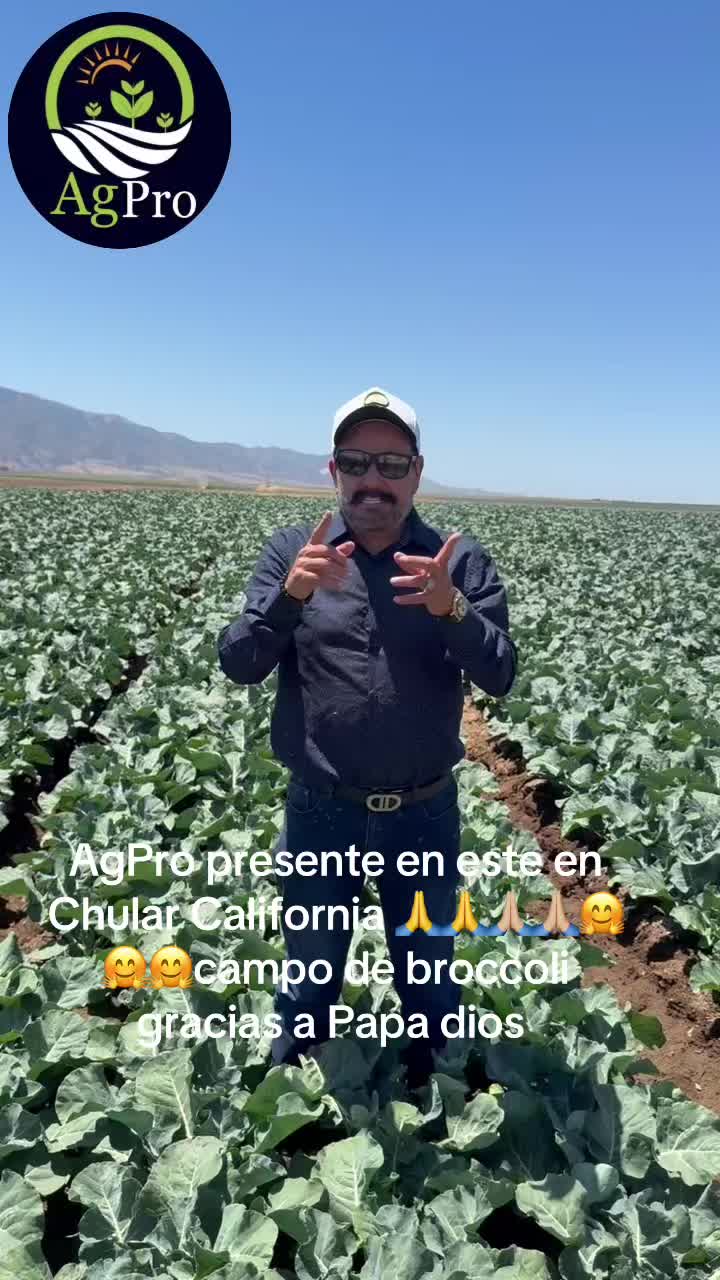 @Piedad Ayala