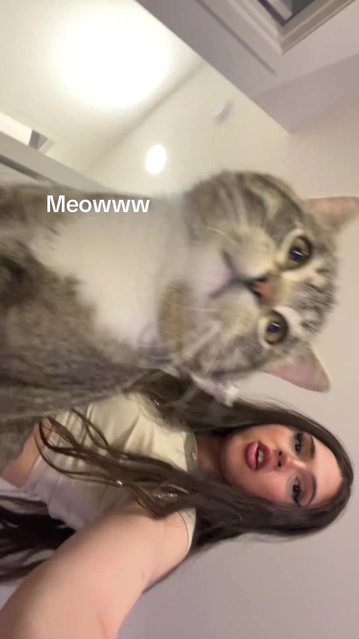@Snowii