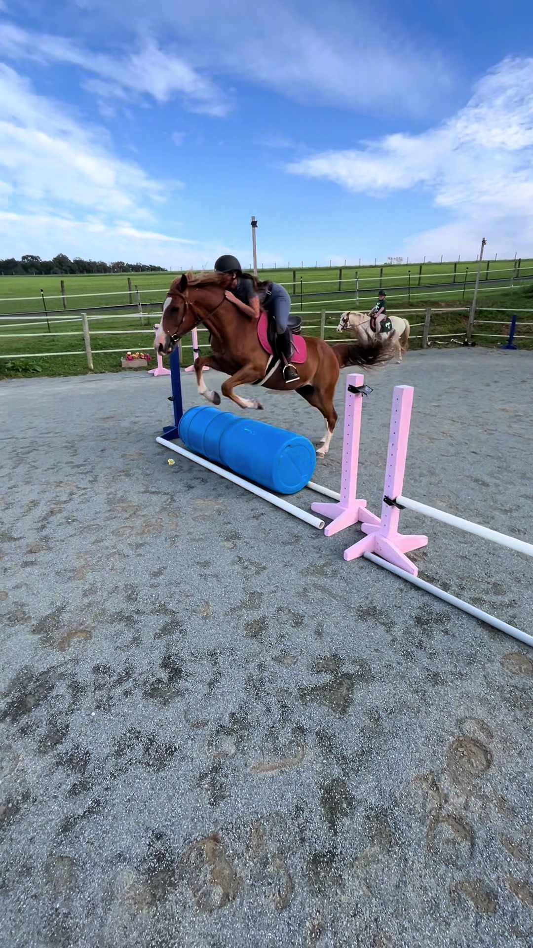 @Aftyn 🐎