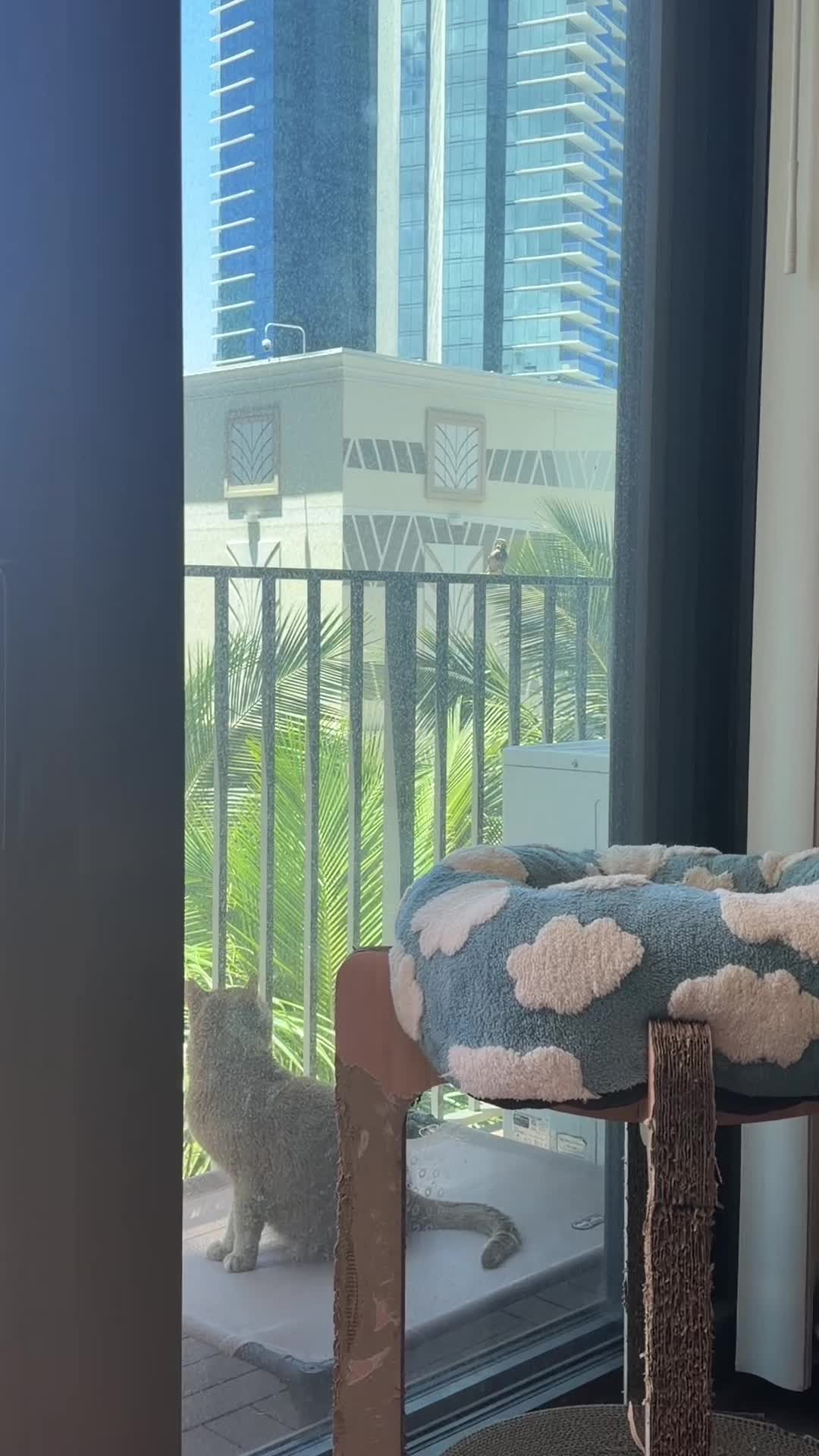 @OBtoebeans&Luna