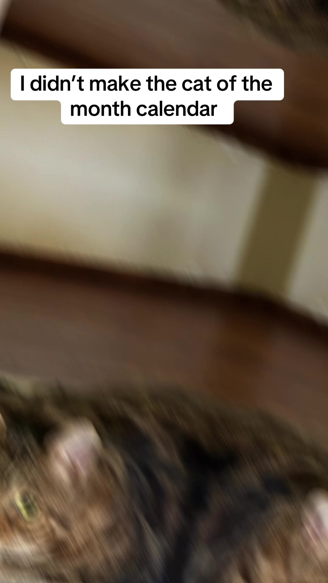 @Drew crazy cat guy