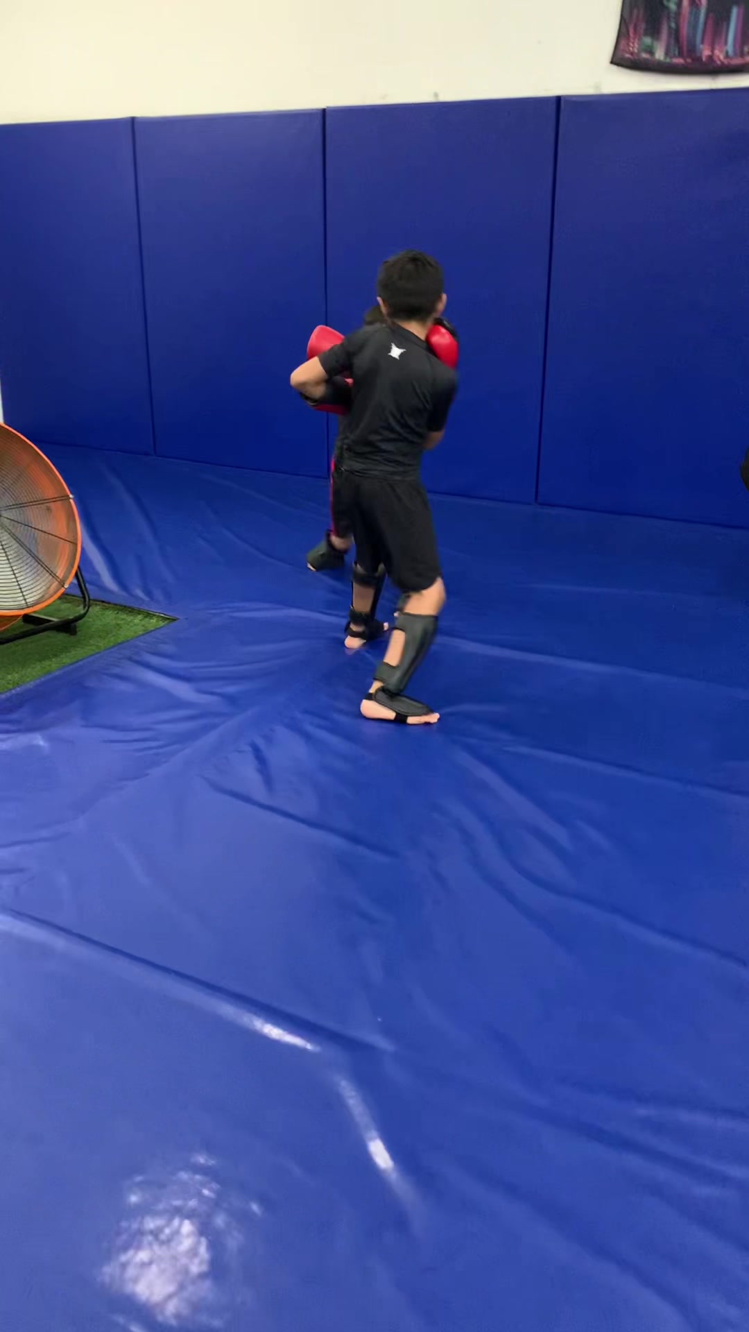 @BMAA